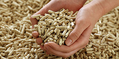 Cat-litter-pellet-drying