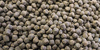 Extruded pet food