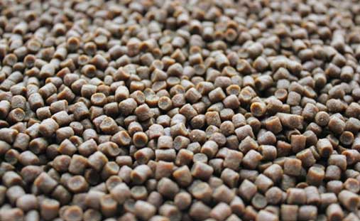 Fish feed pellet