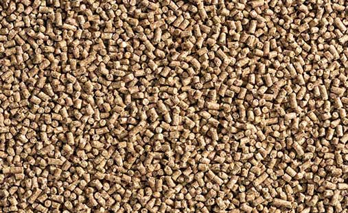 Shrimp Feed Pellets