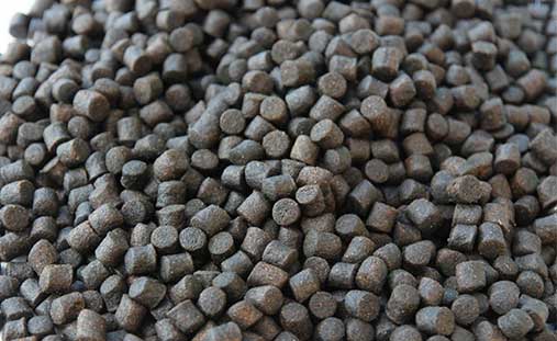 feed pellet