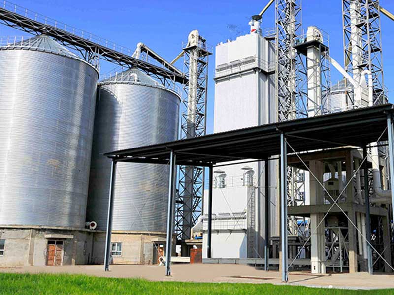 5 TON Shrimp Feed Production Line In Ecuador