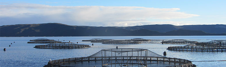 Aquaculture industry continues to expand