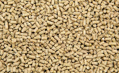 Chicken Feed Pellets