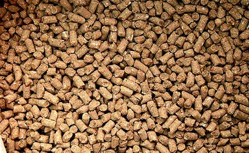 Czttle Feed Pellets