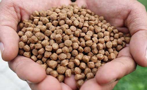 Floating fish feed pellet