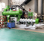 Fully Automatic Control Single Screw Pet Food Extruder Machine