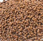 Pacific white shrimp feed pellet