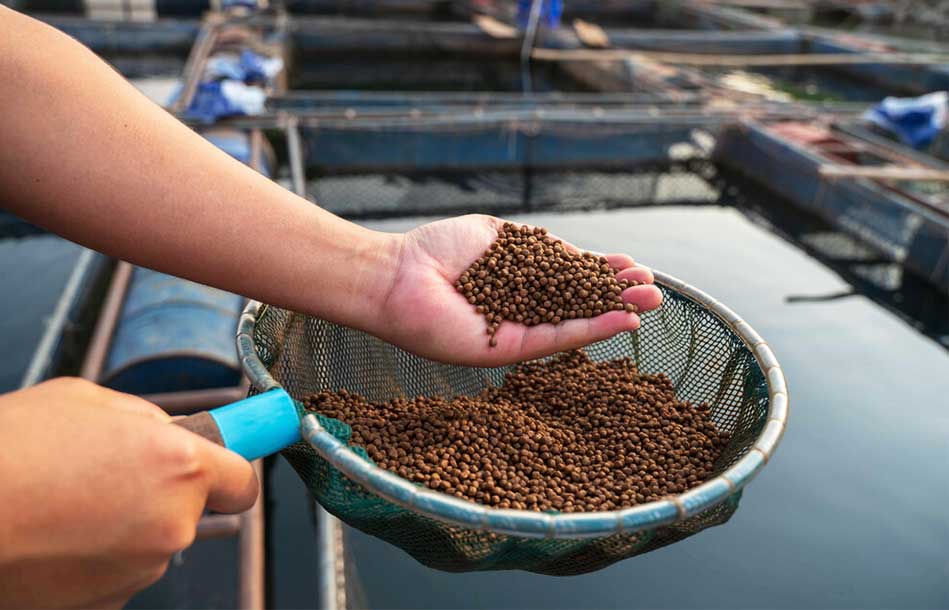 Philippine Aquaculture Market