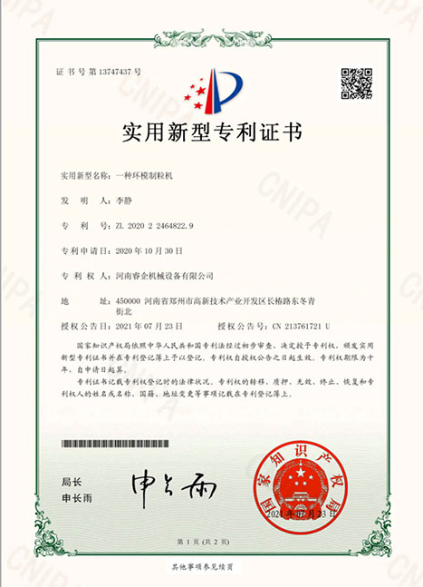 RICHI Patent Certificate