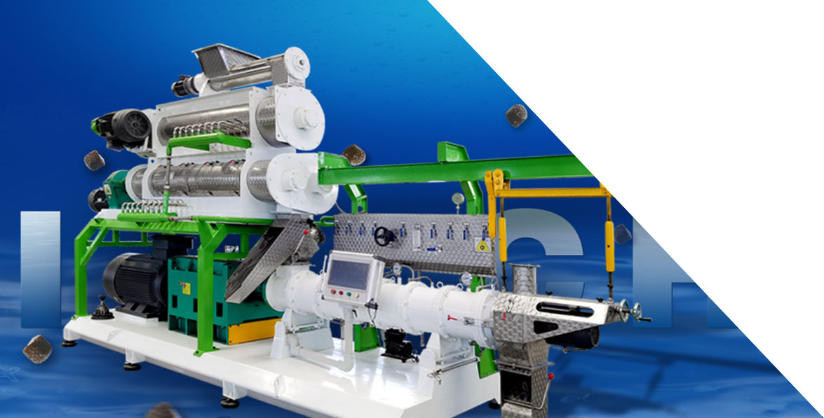 RICHI Twin Screw Extruder Machine