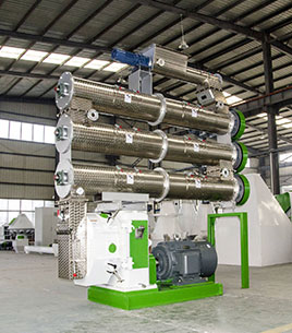 Shrimp Feed Pellet Plant pelletizer