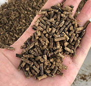 sinking-fish-feed-pellet