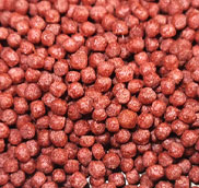 tilapia feed pellet