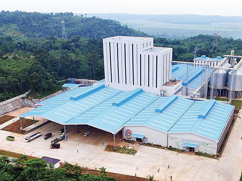 10 tons fish feed and shrimp feed factory