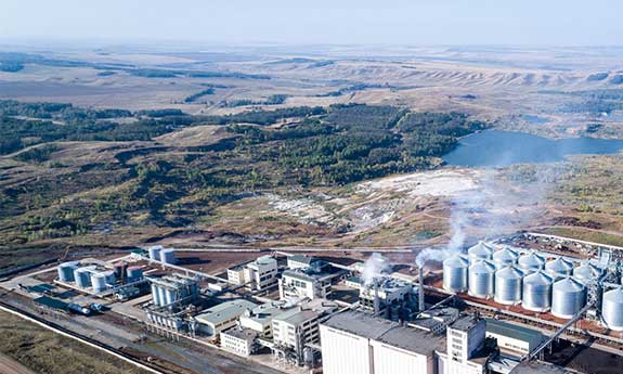 aqua feed plant machine in Zimbabwe