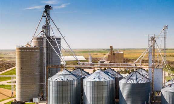 fish-feed-mill-machine-in-South-Africa