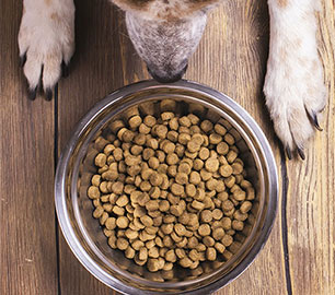 Extruded pet food