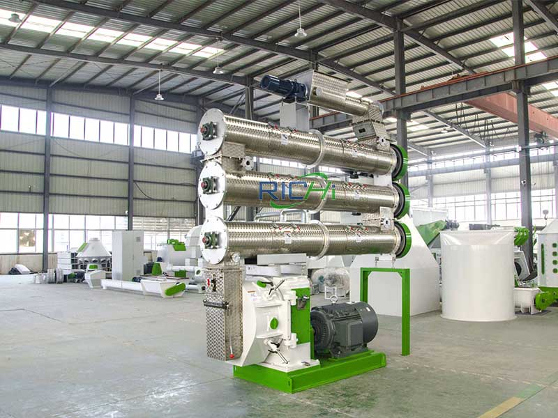 Shrimp Feed Making Machine